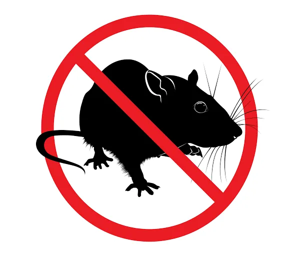 Rat Control